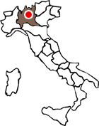 Seicom Italy
